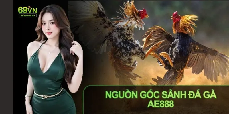 Đá gà AE888: Tổng quan sảnh đá gà được quan tâm hiện nay 2 Đá gà AE888 và 69VN đều phát trực tiếp từ trường gà hợp pháp