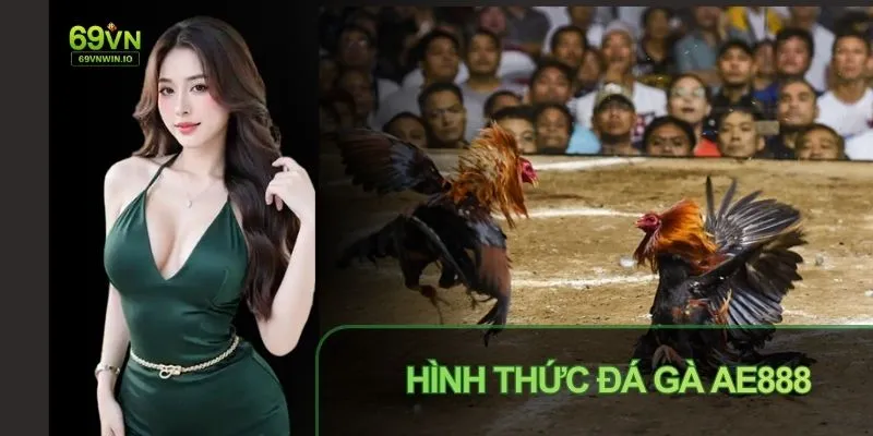 Đá gà AE888: Tổng quan sảnh đá gà được quan tâm hiện nay 3 Giao diện sảnh đá gà tối ưu trên thiết bị di động