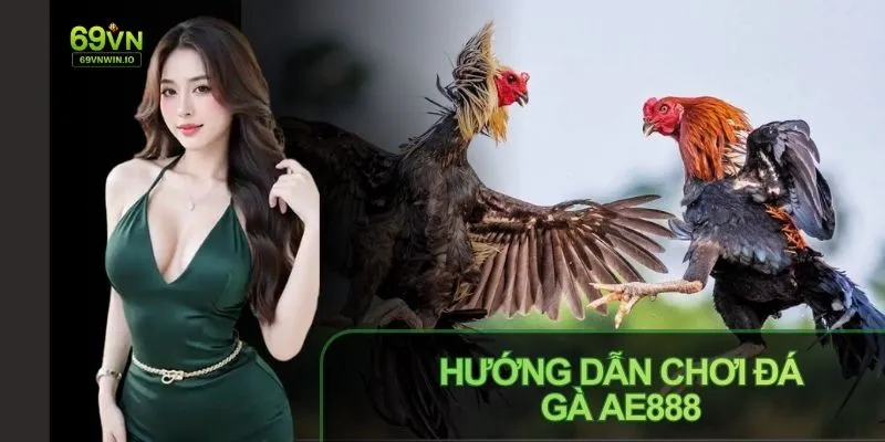 Đá gà AE888: Tổng quan sảnh đá gà được quan tâm hiện nay 4 Tham gia đá gà dễ dàng chỉ với 4 bước